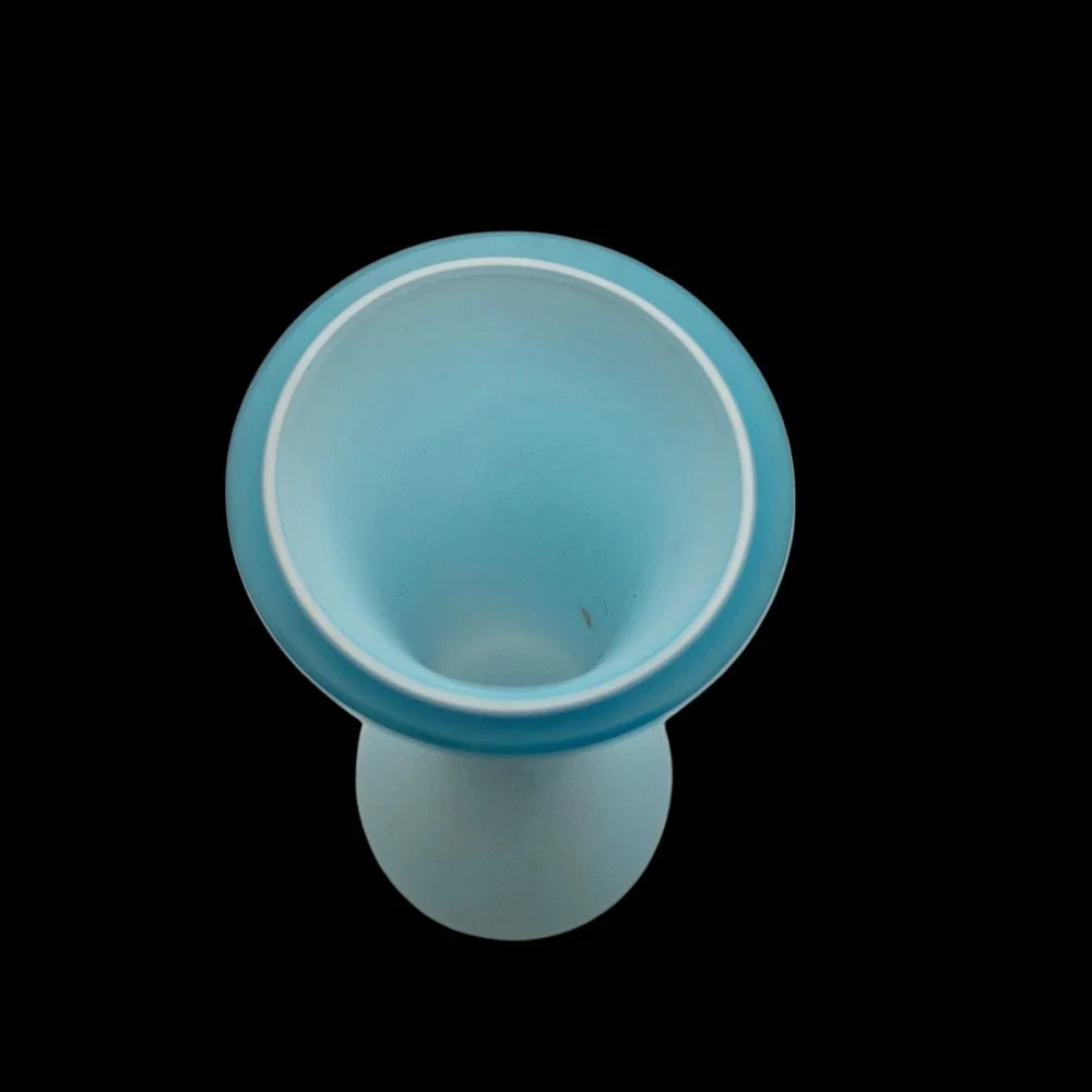 Vintage Pottery Barn Vase Frosted Glass Baby Light Blue Satin Cased 10.75